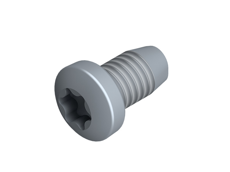 Thread rolling T30 screw M6 x 10