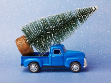 Operating hours and transport during Holiday Season