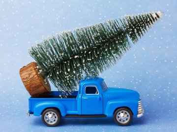 Opening hours and transport during Holiday Season